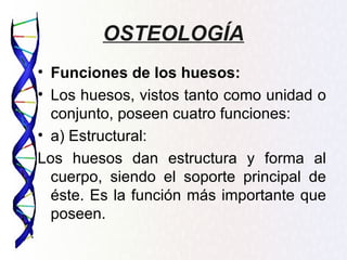 OSTEOLOGÍA
• Funciones de los huesos:
• Los huesos, vistos tanto como unidad o
  conjunto, poseen cuatro funciones:
• a) Estructural:
Los huesos dan estructura y forma al
  cuerpo, siendo el soporte principal de
  éste. Es la función más importante que
  poseen.
 