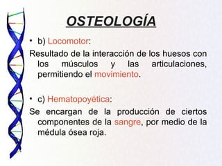 OSTEOLOGÍA
• b) Locomotor:
Resultado de la interacción de los huesos con
  los músculos y las articulaciones,
  permitiendo el movimiento.

• c) Hematopoyética:
Se encargan de la producción de ciertos
  componentes de la sangre, por medio de la
  médula ósea roja.
 