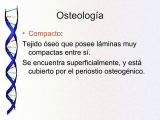 Osteología
• Compacto:
Tejido óseo que posee láminas muy
  compactas entre sí.
Se encuentra superficialmente, y está
  cubierto por el periostio osteogénico.
 