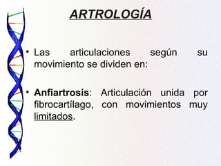 ARTROLOGÍA

• Las    articulaciones     según   su
  movimiento se dividen en:

• Anfiartrosis: Articulación unida por
  fibrocartílago, con movimientos muy
  limitados.
 