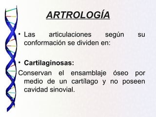 ARTROLOGÍA
• Las    articulaciones    según   su
  conformación se dividen en:

• Cartilaginosas:
Conservan el ensamblaje óseo por
  medio de un cartílago y no poseen
  cavidad sinovial.
 