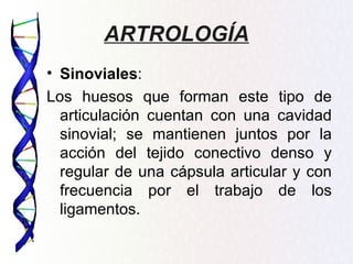 ARTROLOGÍA
• Sinoviales:
Los huesos que forman este tipo de
  articulación cuentan con una cavidad
  sinovial; se mantienen juntos por la
  acción del tejido conectivo denso y
  regular de una cápsula articular y con
  frecuencia por el trabajo de los
  ligamentos.
 