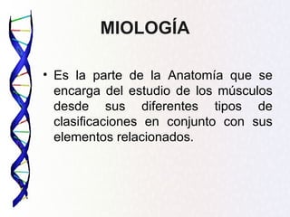 MIOLOGÍA

• Es la parte de la Anatomía que se
  encarga del estudio de los músculos
  desde sus diferentes tipos de
  clasificaciones en conjunto con sus
  elementos relacionados.
 