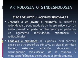 ARTROLOGIA O SINDESMOLOGIA TIPOS DE ARTICULACIONES SINOVIALES Trocoide o en pivote o rotatoria:  la superficie redondeada o puntiaguda de un  hueso articula con un anillo formado en parte por otro hueso y en parte por un ligamento (articulación atlantoaxial y radiocubitales) Condílea o elipsoidea:  la superficie oval convexa encaja en otra superficie cóncava, es biaxial permiten flexión, extensión aducción, abducción y circunducción (articulación de la muñeca y metacarpofalángicas de los dedos segundo a quinto) 
