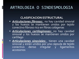 ARTROLOGIA O SINDESMOLOGIA CLASIFICACION ESTRUCTURAL Articulaciones fibrosas:  no hay cavidad sinovial y los huesos se mantienen unidos por tejido conectivo fibroso rico en fibras colágenas Articulaciones cartilaginosas:  no hay cavidad sinovial y los huesos se mantienen unidos por cartílago Articulaciones sinoviales:  tienen una cavidad sinovial y están unidos por una cápsula de tejido conectivo denso irregular y ligamentos accesorios 