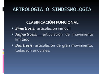 ARTROLOGIA O SINDESMOLOGIA CLASIFICACIÓN FUNCIONAL Sinartrosis:  articulación inmovil Anfiartrosis:  articulación de movimiento limitado Diartrosis:  articulación de gran movimiento, todas son sinoviales. 