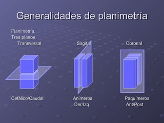 GGeenneerraalliiddaaddeess ddee ppllaanniimmeettrrííaa 
PPllaanniimmeettrrííaa.. 
TTrreess ppllaannooss 
TTrraannssvveerrssaall SSaaggiittaall CCoorroonnaall 
CCeeffáálliiccoo//CCaauuddaall AAnniimmeerrooss PPaaqquuíímmeerrooss 
DDeerr//IIzzqq AAnntt//PPoosstt 
 