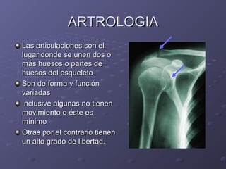 AARRTTRROOLLOOGGIIAA 
LLaass aarrttiiccuullaacciioonneess ssoonn eell 
lluuggaarr ddoonnddee ssee uunneenn ddooss oo 
mmááss hhuueessooss oo ppaarrtteess ddee 
hhuueessooss ddeell eessqquueelleettoo 
SSoonn ddee ffoorrmmaa yy ffuunncciióónn 
vvaarriiaaddaass 
IInncclluussiivvee aallgguunnaass nnoo ttiieenneenn 
mmoovviimmiieennttoo oo ééssttee eess 
mmíínniimmoo 
OOttrraass ppoorr eell ccoonnttrraarriioo ttiieenneenn 
uunn aallttoo ggrraaddoo ddee lliibbeerrttaadd.. 
 