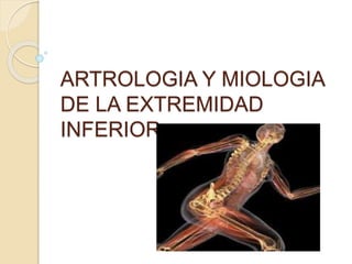 ARTROLOGIA Y MIOLOGIA
DE LA EXTREMIDAD
INFERIOR
 