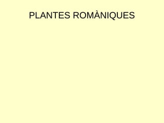 PLANTES ROMÀNIQUES
 