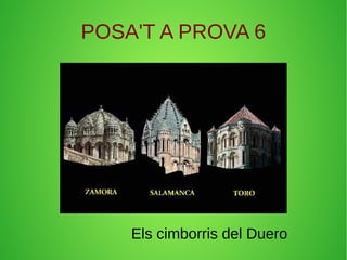 POSA'T A PROVA 6 
Els cimborris del Duero 
 