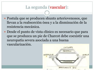 La segunda (vascular):

 Postula que se producen shunts arteriovenosos, que
  llevan a la reabsorción ósea y a la disminución de la
  resistencia mecánica.
 Desde el punto de vista clínico es necesario que para
  que se produzca un pie de Charcot debe coexistir una
  neuropatía severa asociada a una buena
  vascularización.
 