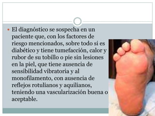  El diagnóstico se sospecha en un
 paciente que, con los factores de
 riesgo mencionados, sobre todo si es
 diabético y tiene tumefacción, calor y
 rubor de su tobillo o pie sin lesiones
 en la piel, que tiene ausencia de
 sensibilidad vibratoria y al
 monofilamento, con ausencia de
 reflejos rotulianos y aquilianos,
 teniendo una vascularización buena o
 aceptable.
 