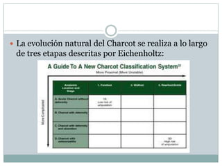  La evolución natural del Charcot se realiza a lo largo
 de tres etapas descritas por Eichenholtz:
 