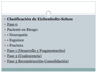  Clasificación de Eichenholtz-Schon
 Fase 0
 Paciente en Riesgo:
 • Neuropatía
 • Esguince
 • Fractura
 Fase 1 (Desarrollo y Fragmentación)
 Fase 2 (Coalescencia)
 Fase 3 Reconstrucción-Consolidación)
 