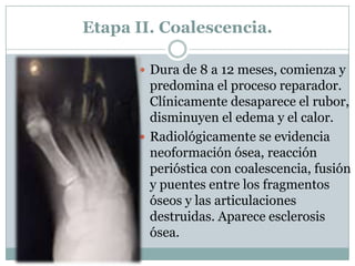 Etapa II. Coalescencia.

       Dura de 8 a 12 meses, comienza y
        predomina el proceso reparador.
        Clínicamente desaparece el rubor,
        disminuyen el edema y el calor.
       Radiológicamente se evidencia
        neoformación ósea, reacción
        perióstica con coalescencia, fusión
        y puentes entre los fragmentos
        óseos y las articulaciones
        destruidas. Aparece esclerosis
        ósea.
 