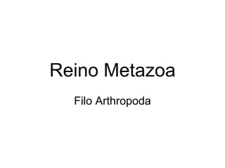 Reino Metazoa Filo Arthropoda 