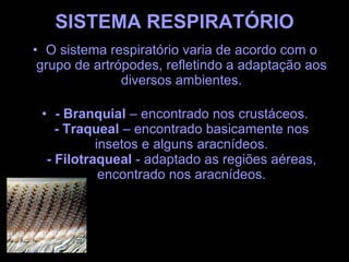 SISTEMA RESPIRATÓRIO O sistema respiratório varia de acordo com o grupo de artrópodes, refletindo a adaptação aos diversos ambientes. - Branquial  – encontrado nos crustáceos. - Traqueal  – encontrado basicamente nos insetos e alguns aracnídeos. - Filotraqueal  - adaptado as regiões aéreas, encontrado nos aracnídeos. 