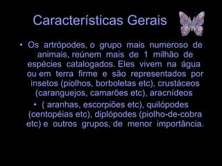 Características Gerais Os  artrópodes, o  grupo  mais  numeroso  de animais, reúnem  mais  de  1  milhão  de espécies  catalogados. Eles  vivem  na  água  ou em  terra  firme  e  são  representados  por insetos (piolhos, borboletas etc), crustáceos (caranguejos, camarões etc), aracnídeos  ( aranhas, escorpiões etc), quilópodes (centopéias etc), diplópodes (piolho-de-cobra etc) e  outros  grupos, de  menor  importância. 