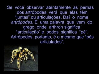 Se  você  observar  atentamente  as  pernas  dos artrópodes, verá  que  elas  têm  “juntas” ou articulações. Daí  o  nome  artrópodes . É  uma palavra  que  vem  do  grego, onde  arthron significa  “articulação” e  podos  significa  “pé”. Artrópodes, portanto, é o mesmo que “pés articulados”. 