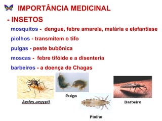 mosquitos  -  dengue, febre amarela, malária e elefantíase piolhos  - transmitem o tifo pulgas -  peste bubônica moscas  -  febre tifóide e a disenteria barbeiros  - a doença de Chagas IMPORTÂNCIA MEDICINAL - INSETOS 
