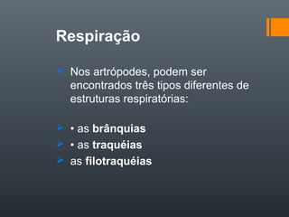 Respiração

 Nos artrópodes, podem ser
  encontrados três tipos diferentes de
  estruturas respiratórias:

 • as brânquias
 • as traquéias
 as filotraquéias
 
