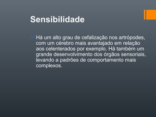 Sensibilidade
 Há um alto grau de cefalização nos artrópodes,
  com um cérebro mais avantajado em relação
  aos celenterados por exemplo. Há também um
  grande desenvolvimento dos órgãos sensoriais,
  levando a padrões de comportamento mais
  complexos.
 