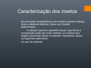 Caracterização dos insetos
 As principais características dos insetos incluem cabeça,
  tórax e abdome distintos, todos com função
  determinada.
      A cabeça suporta o aparelho bucal, cuja forma e
  composição pode ser muito variada, e a maioria dos
  órgãos sensoriais (olhos e antenas). Apresenta, assim,
  os seguintes apêndices:
 um par de antenas;
 