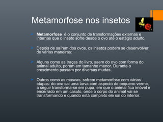 Metamorfose nos insetos
 Metamorfose é o conjunto de transformações externas e
  internas que o inseto sofre desde o ovo até o estágio adulto.

 Depois de saírem dos ovos, os insetos podem se desenvolver
  de várias maneiras:

 Alguns como as traças do livro, saem do ovo com forma do
  animal adulto, porém em tamanho menor. Durante o
  crescimento passam por diversas mudas.

 Outros como as moscas, sofrem metamorfose com várias
  etapas: do ovo sai uma larva com aspecto de pequeno verme,
  a seguir transforma-se em pupa, em que o animal fica imóvel e
  encerrado em um casulo, onde o corpo do animal vai se
  transformando e quando está completo ele sai do interior.
 