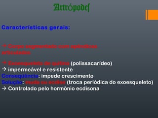 Artrópodes
Características gerais:


 Corpo segmentado com apêndices
articulados
 Exoesqueleto de quitina (polissacarídeo)
 impermeável e resistente
Conseqüência: impede crescimento
Solução: muda ou ecdise (troca periódica do exoesqueleto)
 Controlado pelo hormônio ecdisona
 