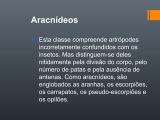 Aracnídeos

 Esta classe compreende artrópodes
  incorretamente confundidos com os
  insetos. Mas distinguem-se deles
  nitidamente pela divisão do corpo, pelo
  número de patas e pela ausência de
  antenas. Como aracnídeos, são
  englobados as aranhas, os escorpiões,
  os carrapatos, os pseudo-escorpiões e
  os opilões.
 