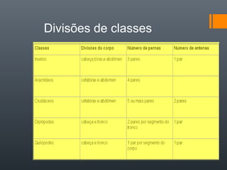 Divisões de classes
 