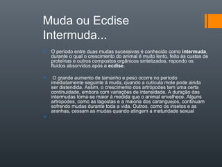 Muda ou Ecdise
Intermuda...
 O período entre duas mudas sucessivas é conhecido como intermuda,
  durante o qual o crescimento do animal é muito lento, feito às custas de
  proteínas e outros compostos orgânicos sintetizados, repondo os
  fluidos absorvidos após a ecdise.

    O grande aumento de tamanho e peso ocorre no período
    imediatamente seguinte à muda, quando a cutícula mole pode ainda
    ser distendida. Assim, o crescimento dos artrópodes tem uma certa
    continuidade, embora com variações de intensidade. A duração das
    intermudas torna-se maior à medida que o animal envelhece. Alguns
    artrópodes, como as lagostas e a maioria dos caranguejos, continuam
    sofrendo mudas durante toda a vida. Outros, como os insetos e as
    aranhas, cessam as mudas quando atingem a maturidade sexual

 