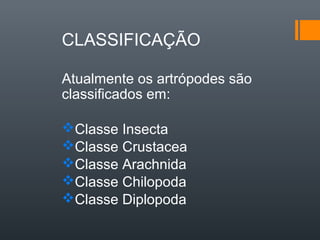 CLASSIFICAÇÃO

Atualmente os artrópodes são
classificados em:

Classe Insecta
Classe Crustacea
Classe Arachnida
Classe Chilopoda
Classe Diplopoda
 