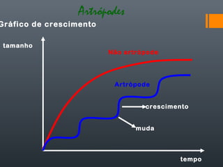 Artrópodes
Gráfico de crescimento

 tamanho
                         Não artrópode




                          Artrópode


                                  crescimento


                                muda



                                          tempo
 