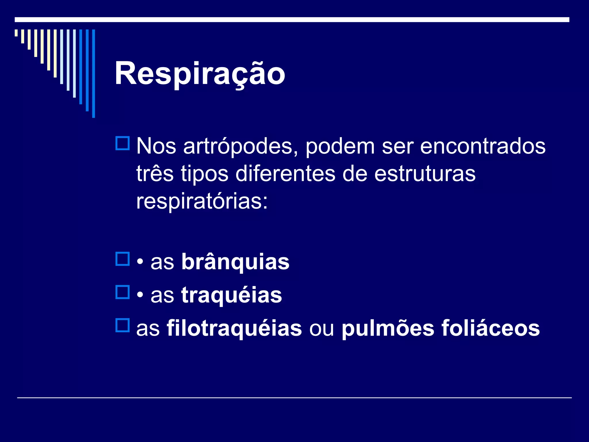 Respiração

 Nos artrópodes, podem ser encontrados
  três tipos diferentes de estruturas
  respiratórias:

 • as brânquias
 • as traquéias
 as filotraquéias ou pulmões foliáceos
 