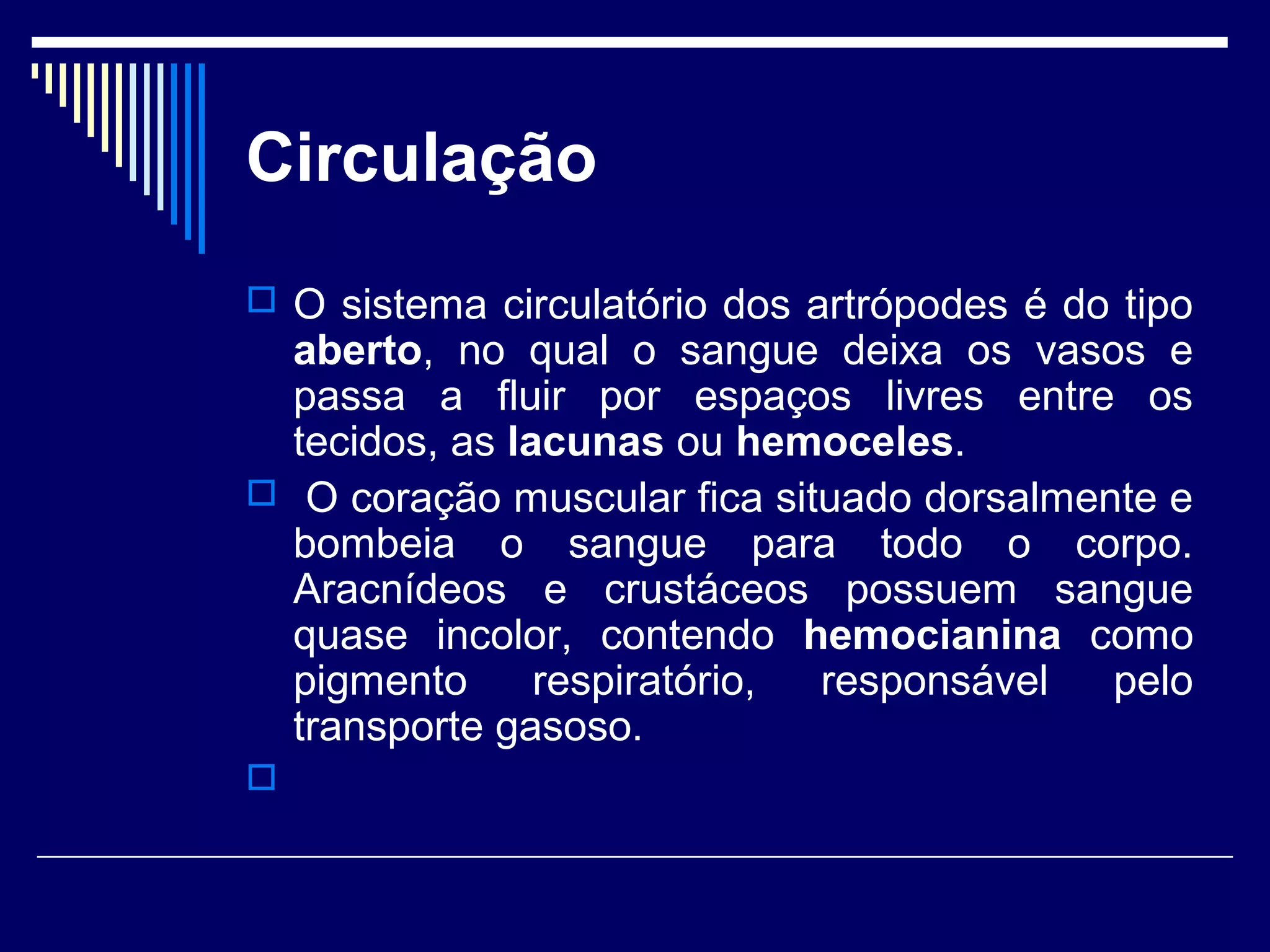 Circulação
 O sistema circulatório dos artrópodes é do tipo
  aberto, no qual o sangue deixa os vasos e
  passa a fluir por espaços livres entre os
  tecidos, as lacunas ou hemoceles.
 O coração muscular fica situado dorsalmente e
  bombeia o sangue para todo o corpo.
  Aracnídeos e crustáceos possuem sangue
  quase incolor, contendo hemocianina como
  pigmento      respiratório, responsável  pelo
  transporte gasoso.

 