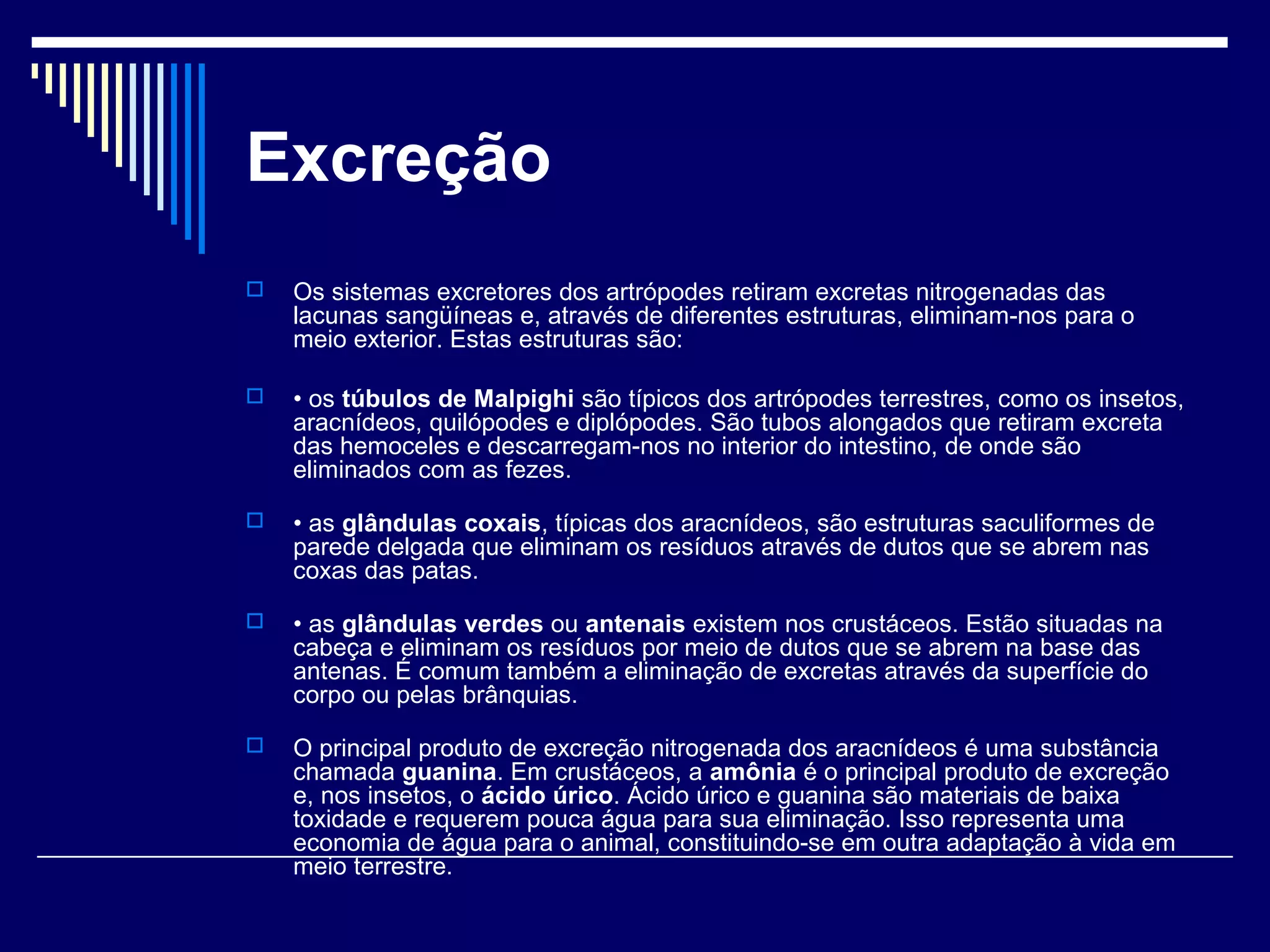 Excreção
   Os sistemas excretores dos artrópodes retiram excretas nitrogenadas das
    lacunas sangüíneas e, através de diferentes estruturas, eliminam-nos para o
    meio exterior. Estas estruturas são:

   • os túbulos de Malpighi são típicos dos artrópodes terrestres, como os insetos,
    aracnídeos, quilópodes e diplópodes. São tubos alongados que retiram excreta
    das hemoceles e descarregam-nos no interior do intestino, de onde são
    eliminados com as fezes.

   • as glândulas coxais, típicas dos aracnídeos, são estruturas saculiformes de
    parede delgada que eliminam os resíduos através de dutos que se abrem nas
    coxas das patas.

   • as glândulas verdes ou antenais existem nos crustáceos. Estão situadas na
    cabeça e eliminam os resíduos por meio de dutos que se abrem na base das
    antenas. É comum também a eliminação de excretas através da superfície do
    corpo ou pelas brânquias.

   O principal produto de excreção nitrogenada dos aracnídeos é uma substância
    chamada guanina. Em crustáceos, a amônia é o principal produto de excreção
    e, nos insetos, o ácido úrico. Ácido úrico e guanina são materiais de baixa
    toxidade e requerem pouca água para sua eliminação. Isso representa uma
    economia de água para o animal, constituindo-se em outra adaptação à vida em
    meio terrestre.
 