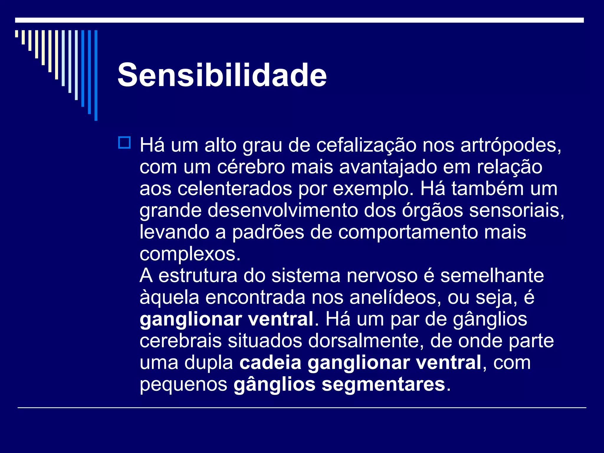 Sensibilidade
 Há um alto grau de cefalização nos artrópodes,
  com um cérebro mais avantajado em relação
  aos celenterados por exemplo. Há também um
  grande desenvolvimento dos órgãos sensoriais,
  levando a padrões de comportamento mais
  complexos.
  A estrutura do sistema nervoso é semelhante
  àquela encontrada nos anelídeos, ou seja, é
  ganglionar ventral. Há um par de gânglios
  cerebrais situados dorsalmente, de onde parte
  uma dupla cadeia ganglionar ventral, com
  pequenos gânglios segmentares.
 