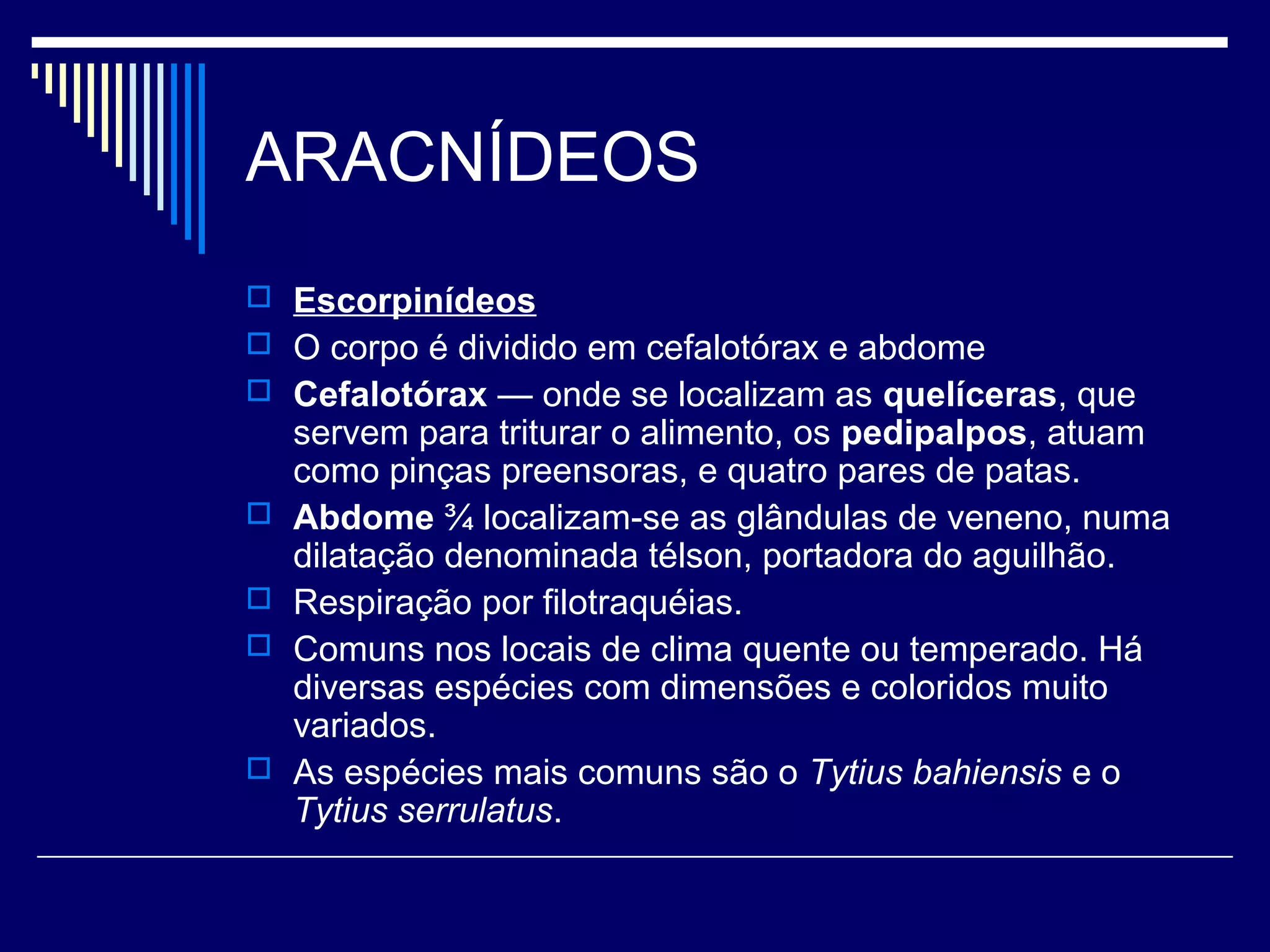 ARACNÍDEOS
 Escorpinídeos
 O corpo é dividido em cefalotórax e abdome
 Cefalotórax — onde se localizam as quelíceras, que
    servem para triturar o alimento, os pedipalpos, atuam
    como pinças preensoras, e quatro pares de patas.
   Abdome ¾ localizam-se as glândulas de veneno, numa
    dilatação denominada télson, portadora do aguilhão.
   Respiração por filotraquéias.
   Comuns nos locais de clima quente ou temperado. Há
    diversas espécies com dimensões e coloridos muito
    variados.
   As espécies mais comuns são o Tytius bahiensis e o
    Tytius serrulatus.
 