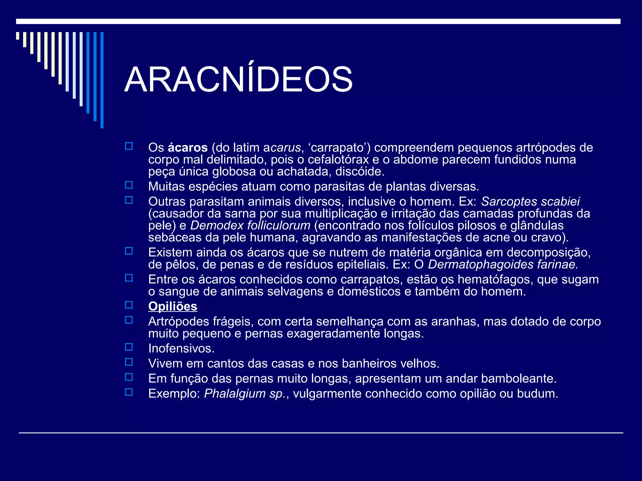 ARACNÍDEOS
   Os ácaros (do latim acarus, ‘carrapato’) compreendem pequenos artrópodes de
    corpo mal delimitado, pois o cefalotórax e o abdome parecem fundidos numa
    peça única globosa ou achatada, discóide.
   Muitas espécies atuam como parasitas de plantas diversas.
   Outras parasitam animais diversos, inclusive o homem. Ex: Sarcoptes scabiei
    (causador da sarna por sua multiplicação e irritação das camadas profundas da
    pele) e Demodex folliculorum (encontrado nos folículos pilosos e glândulas
    sebáceas da pele humana, agravando as manifestações de acne ou cravo).
   Existem ainda os ácaros que se nutrem de matéria orgânica em decomposição,
    de pêlos, de penas e de resíduos epiteliais. Ex: O Dermatophagoides farinae.
   Entre os ácaros conhecidos como carrapatos, estão os hematófagos, que sugam
    o sangue de animais selvagens e domésticos e também do homem.
   Opiliões
   Artrópodes frágeis, com certa semelhança com as aranhas, mas dotado de corpo
    muito pequeno e pernas exageradamente longas.
   Inofensivos.
   Vivem em cantos das casas e nos banheiros velhos.
   Em função das pernas muito longas, apresentam um andar bamboleante.
   Exemplo: Phalalgium sp., vulgarmente conhecido como opilião ou budum.
 