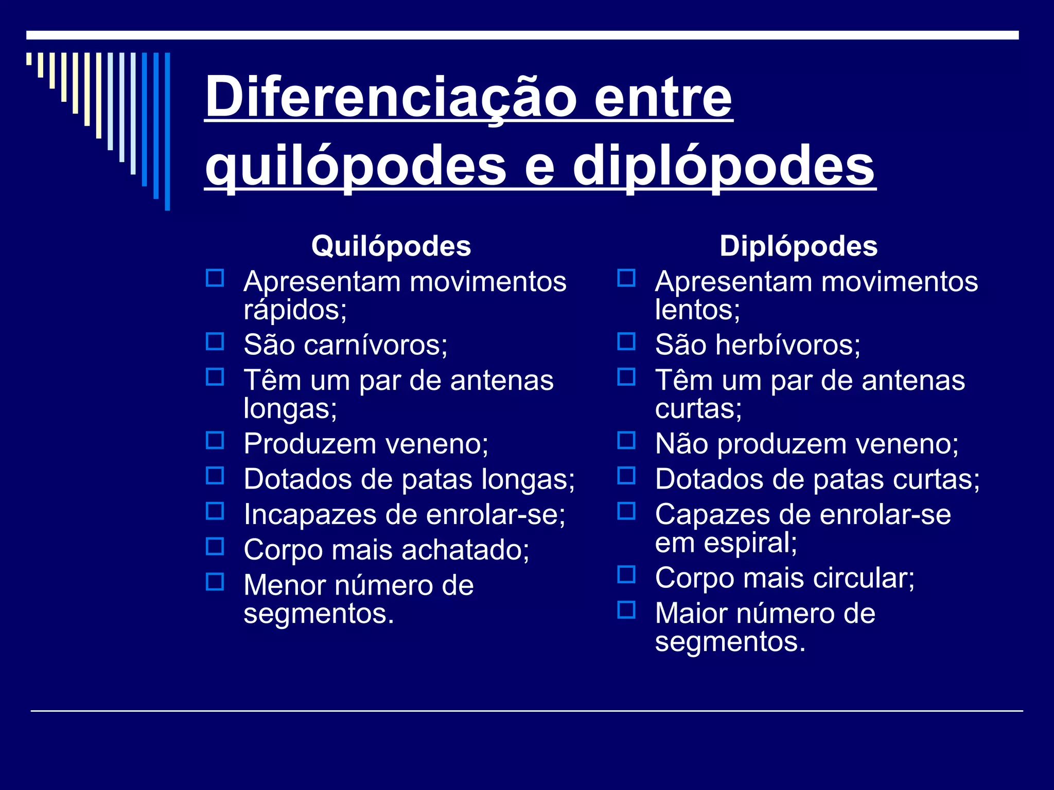 Diferenciação entre
quilópodes e diplópodes
         Quilópodes                     Diplópodes
   Apresentam movimentos         Apresentam movimentos
    rápidos;                       lentos;
   São carnívoros;               São herbívoros;
   Têm um par de antenas         Têm um par de antenas
    longas;                        curtas;
   Produzem veneno;              Não produzem veneno;
   Dotados de patas longas;      Dotados de patas curtas;
   Incapazes de enrolar-se;      Capazes de enrolar-se
   Corpo mais achatado;           em espiral;
   Menor número de               Corpo mais circular;
    segmentos.                    Maior número de
                                   segmentos.
 