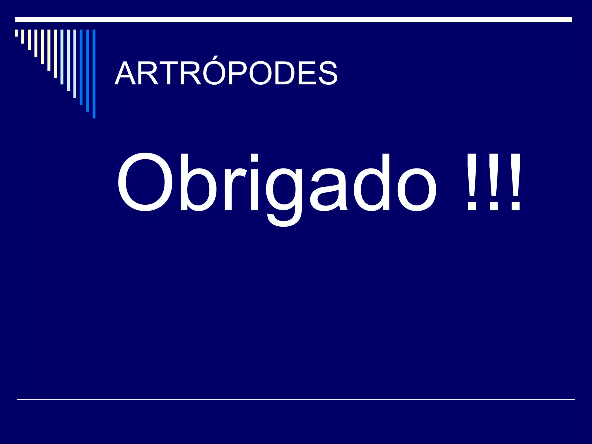 ARTRÓPODES


Obrigado !!!
 