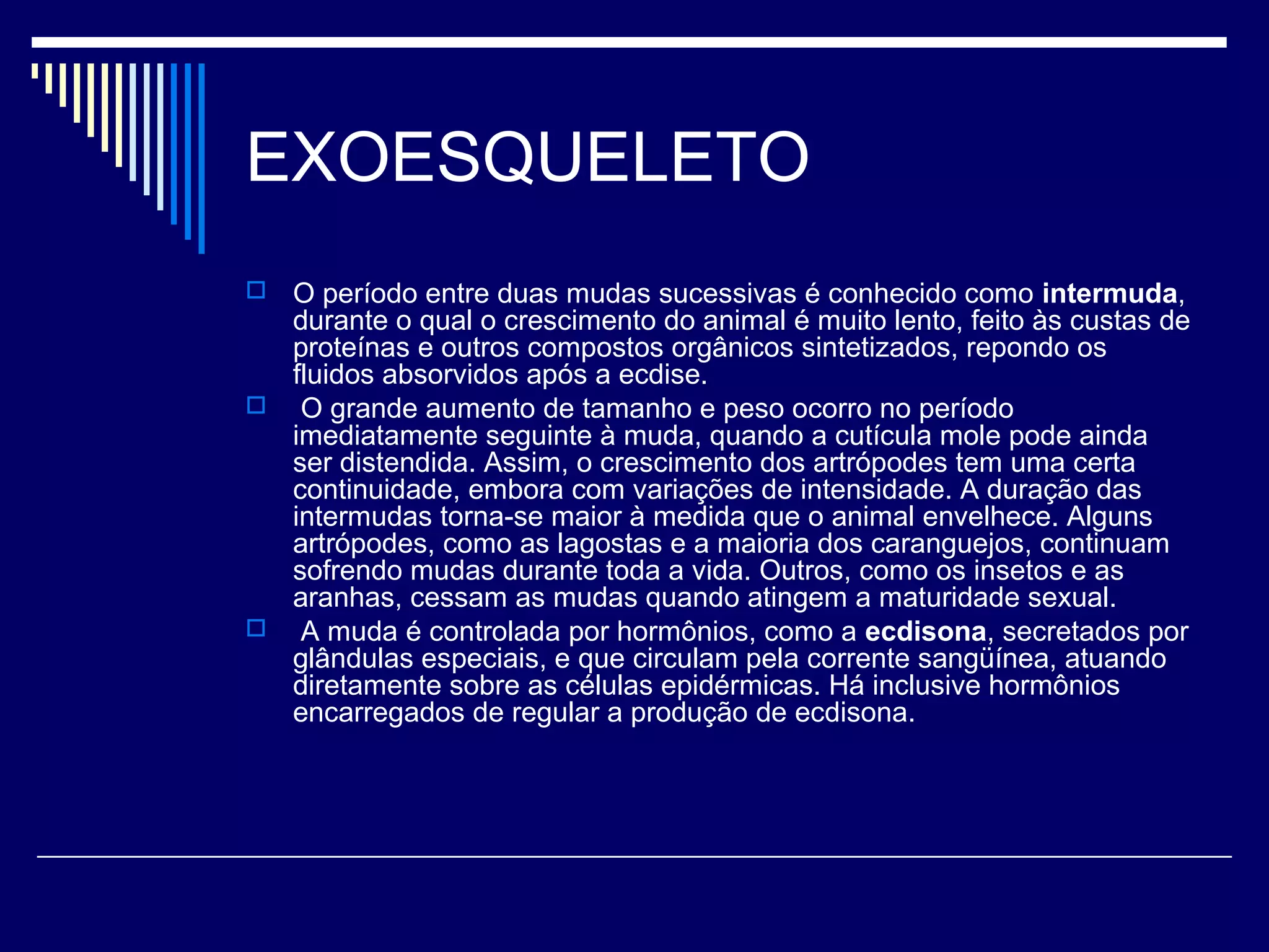 EXOESQUELETO
 O período entre duas mudas sucessivas é conhecido como intermuda,
  durante o qual o crescimento do animal é muito lento, feito às custas de
  proteínas e outros compostos orgânicos sintetizados, repondo os
  fluidos absorvidos após a ecdise.
 O grande aumento de tamanho e peso ocorro no período
  imediatamente seguinte à muda, quando a cutícula mole pode ainda
  ser distendida. Assim, o crescimento dos artrópodes tem uma certa
  continuidade, embora com variações de intensidade. A duração das
  intermudas torna-se maior à medida que o animal envelhece. Alguns
  artrópodes, como as lagostas e a maioria dos caranguejos, continuam
  sofrendo mudas durante toda a vida. Outros, como os insetos e as
  aranhas, cessam as mudas quando atingem a maturidade sexual.
 A muda é controlada por hormônios, como a ecdisona, secretados por
  glândulas especiais, e que circulam pela corrente sangüínea, atuando
  diretamente sobre as células epidérmicas. Há inclusive hormônios
  encarregados de regular a produção de ecdisona.
 