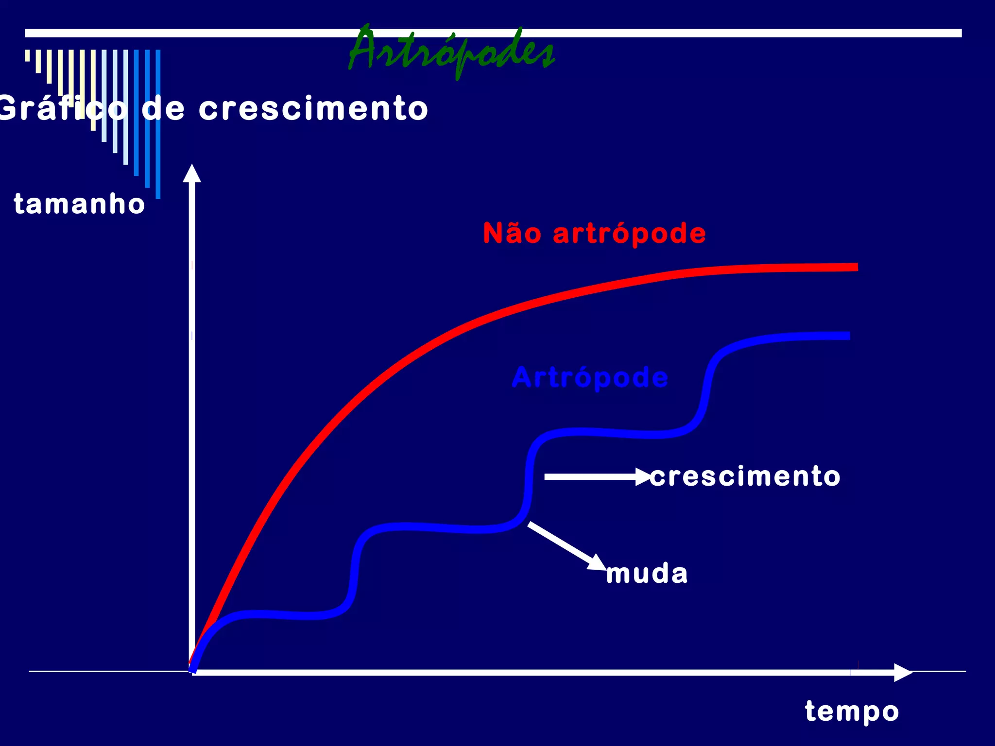 Artrópodes
Gráfico de crescimento

 tamanho
                         Não artrópode




                          Artrópode


                                  crescimento


                                muda



                                          tempo
 