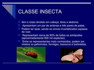 CLASSE INSECTA
 têm o corpo dividido em cabeça, tórax e abdome.
 Apresentam um par de antenas e três pares de patas.
 Podem ter asas, sendo os únicos invertebrados capazes
  de voar.
 Representam cerca de 90% de todos os artrópodes
  (aproximadamente 900 mil espécies).
 Entre os representantes mais conhecidos, podem ser
  citados os gafanhotos, formigas, besouros e borboletas.
 