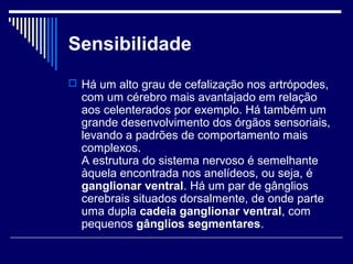 Sensibilidade
 Há um alto grau de cefalização nos artrópodes,
  com um cérebro mais avantajado em relação
  aos celenterados por exemplo. Há também um
  grande desenvolvimento dos órgãos sensoriais,
  levando a padrões de comportamento mais
  complexos.
  A estrutura do sistema nervoso é semelhante
  àquela encontrada nos anelídeos, ou seja, é
  ganglionar ventral. Há um par de gânglios
  cerebrais situados dorsalmente, de onde parte
  uma dupla cadeia ganglionar ventral, com
  pequenos gânglios segmentares.
 