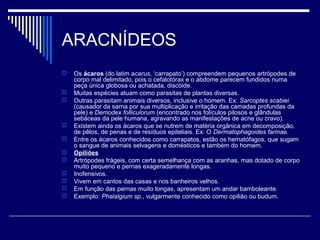 ARACNÍDEOS
   Os ácaros (do latim acarus, ‘carrapato’) compreendem pequenos artrópodes de
    corpo mal delimitado, pois o cefalotórax e o abdome parecem fundidos numa
    peça única globosa ou achatada, discóide.
   Muitas espécies atuam como parasitas de plantas diversas.
   Outras parasitam animais diversos, inclusive o homem. Ex: Sarcoptes scabiei
    (causador da sarna por sua multiplicação e irritação das camadas profundas da
    pele) e Demodex folliculorum (encontrado nos folículos pilosos e glândulas
    sebáceas da pele humana, agravando as manifestações de acne ou cravo).
   Existem ainda os ácaros que se nutrem de matéria orgânica em decomposição,
    de pêlos, de penas e de resíduos epiteliais. Ex: O Dermatophagoides farinae.
   Entre os ácaros conhecidos como carrapatos, estão os hematófagos, que sugam
    o sangue de animais selvagens e domésticos e também do homem.
   Opiliões
   Artrópodes frágeis, com certa semelhança com as aranhas, mas dotado de corpo
    muito pequeno e pernas exageradamente longas.
   Inofensivos.
   Vivem em cantos das casas e nos banheiros velhos.
   Em função das pernas muito longas, apresentam um andar bamboleante.
   Exemplo: Phalalgium sp., vulgarmente conhecido como opilião ou budum.
 