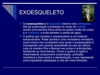 EXOESQUELETO
 O exoesqueleto é o esqueleto externo dos artrópodes.
  Ele dá sustentação e proteção ao corpo do animal,
  sendo uma barreira física entre as partes moles do corpo
  e o ambiente, e evita também a perda de água.
 A quitina que compõe o exoesqueleto é um material
  extraordinário. Pode constituir uma verdadeira armadura,
  como ocorre nos crustáceos (nos quais o exoesqueleto é
  impregnado com grande quantidade de sais de cálcio),
  mas se mantém fina e flexível nas juntas e articulações,
  facilitando os movimentos. Como a quitina é rígida e
  impermeável, proporciona sustentação, proteção
  mecânica e atua contra a desidratação, o que representa
  uma importante adaptação à vida em meio terrestre.
 