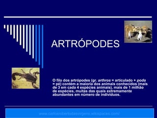 ARTRÓPODES


       O filo dos artrópodes (gr. arthros = articulado + poda
       = pé) contém a maioria dos animais conhecidos (mais
       de 3 em cada 4 espécies animais), mais de 1 milhão
       de espécies, muitas das quais extremamente
       abundantes em número de indivíduos.




www.carlosrobertodasvirgens.wikispaces.com/
 